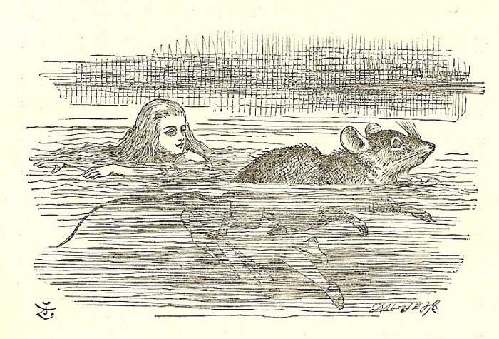 Swimming in Picture Books