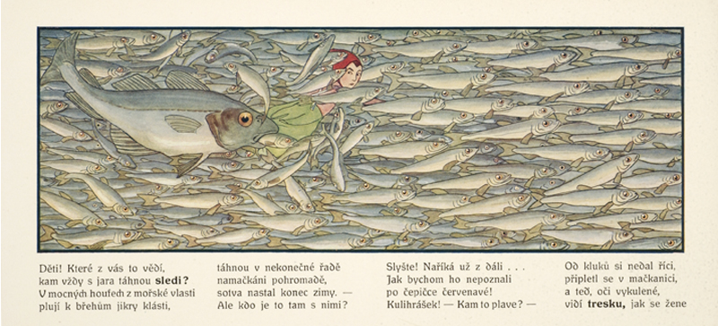 Swimming in Picture Books