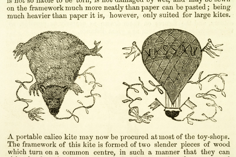 Kites