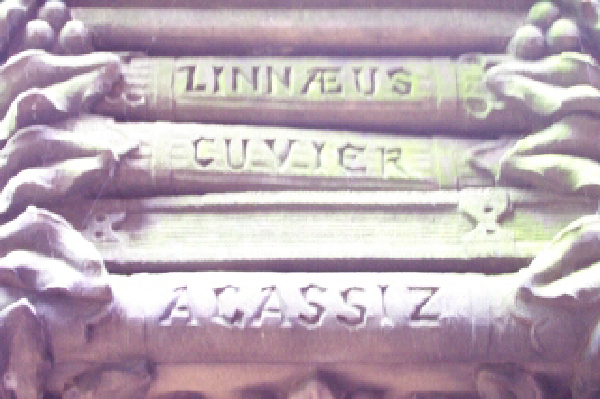 capital_1