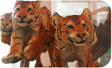 Tigers